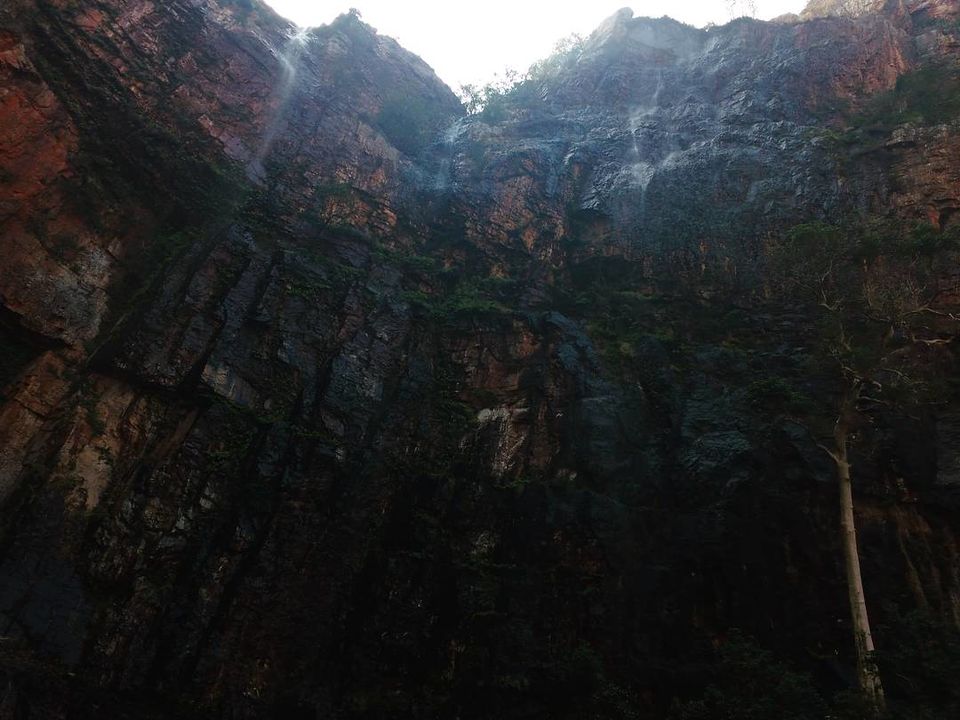 Photo of #CoffeeWithTripoto: A Trek to Tada falls by Vaibhav Kashyap