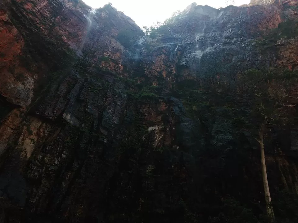 Photo of #CoffeeWithTripoto: A Trek to Tada falls by Vaibhav Kashyap