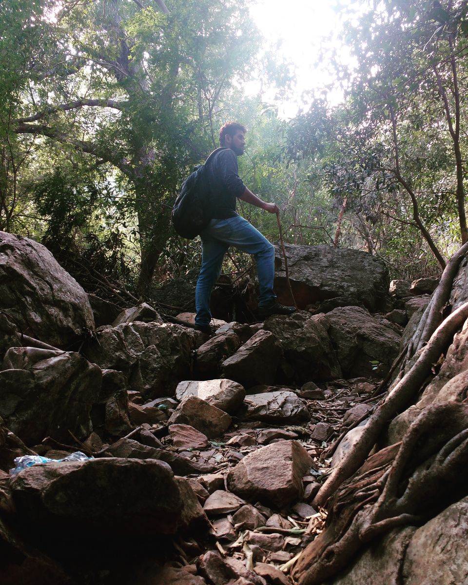 Photo of #CoffeeWithTripoto: A Trek to Tada falls by Vaibhav Kashyap