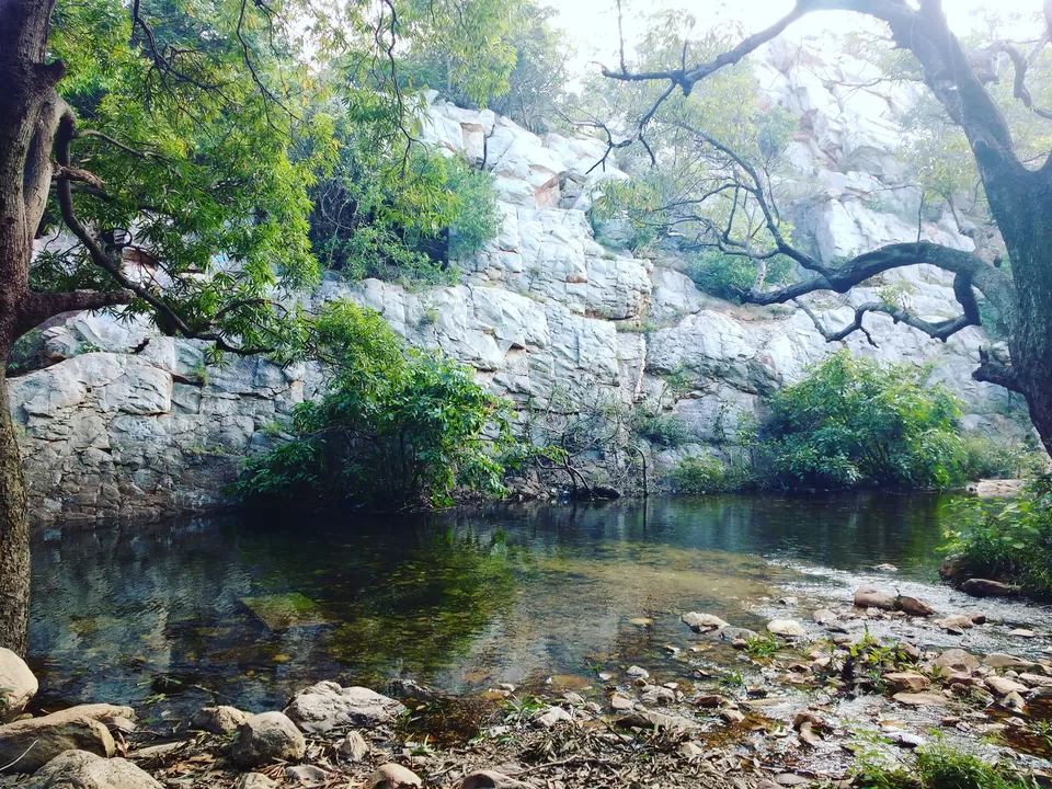 Photo of #CoffeeWithTripoto: A Trek to Tada falls by Vaibhav Kashyap