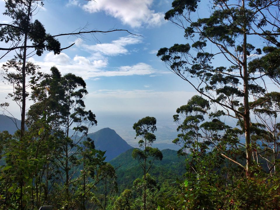 Photo of #CoffeeWithTripoto Kodaikanal: Billion Stars Hotel by Vaibhav Kashyap