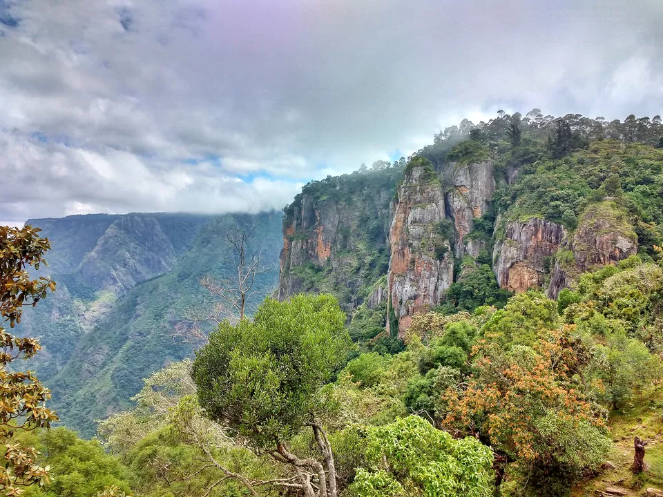 Photo of Pillar Rocks Road, Kodaikanal, Tamil Nadu, India by Vaibhav Kashyap