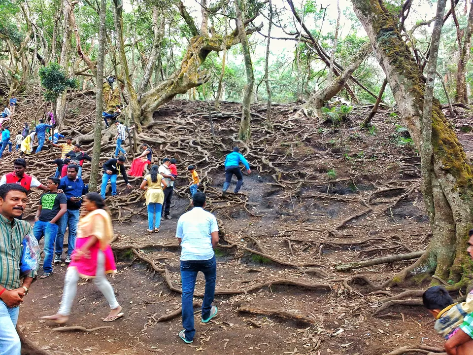 Photo of Guna Caves, Dindigul, Tamil Nadu, India by Vaibhav Kashyap