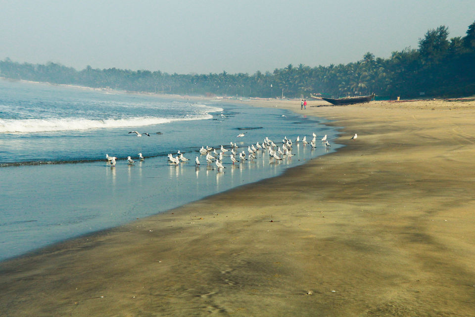 Photo of Malvan - The private beach by Vibha Singh
