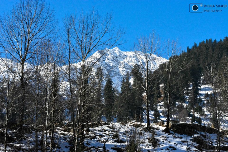 Photo of Trip to Himalayan Foothills - Delhi,Manali,Kullu,Dharamshala,Dalhousie by Vibha Singh
