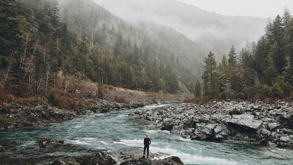 Photo of Survival Apps: Top 5 of Best Apps You Can Use in the Wilderness 1/6 by Tessa Wildfire