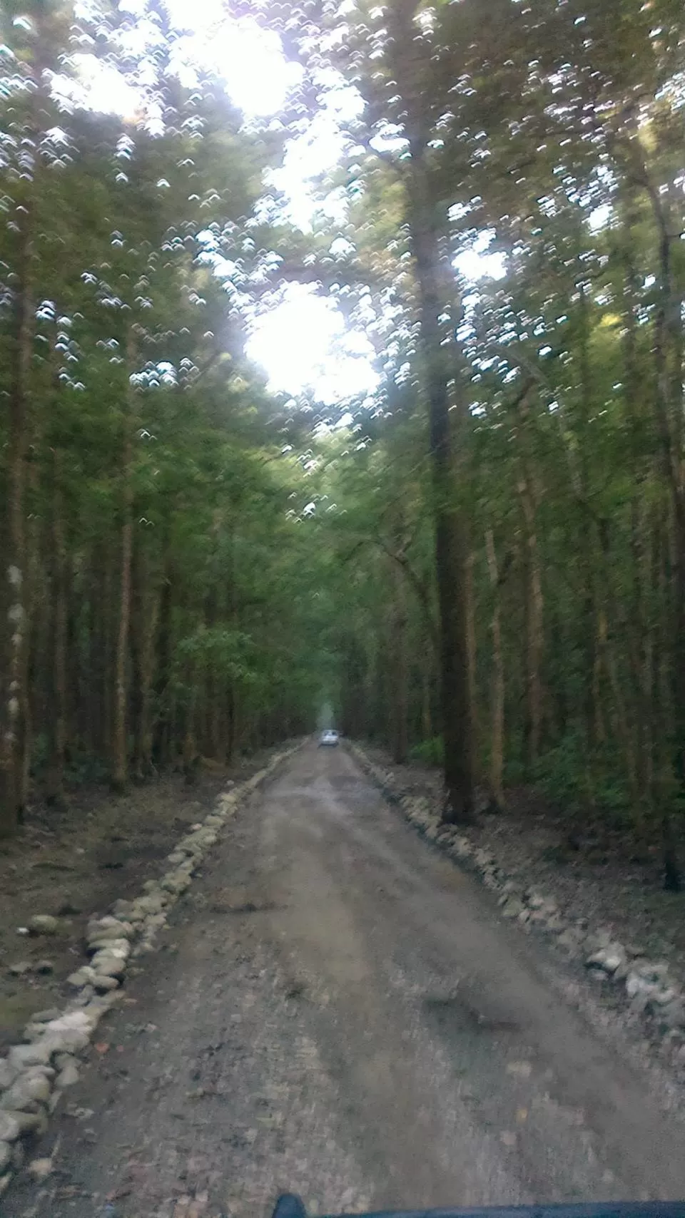 Photo of Jim Corbett National Park, Ramnagar, Uttarakhand, India by Nikhil Talwar