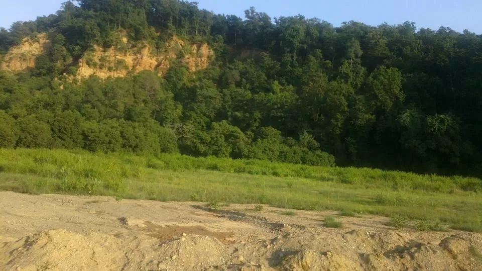 Photo of Jim Corbett National Park, Ramnagar, Uttarakhand, India by Nikhil Talwar