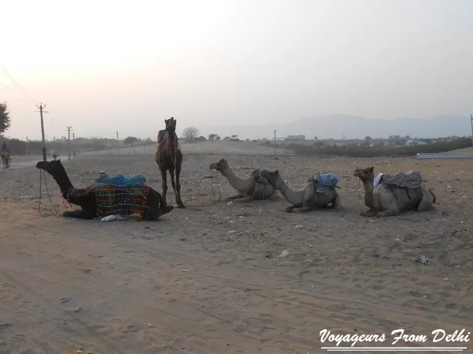 Photo of Pushkar, Rajasthan, India by Nikhil Talwar