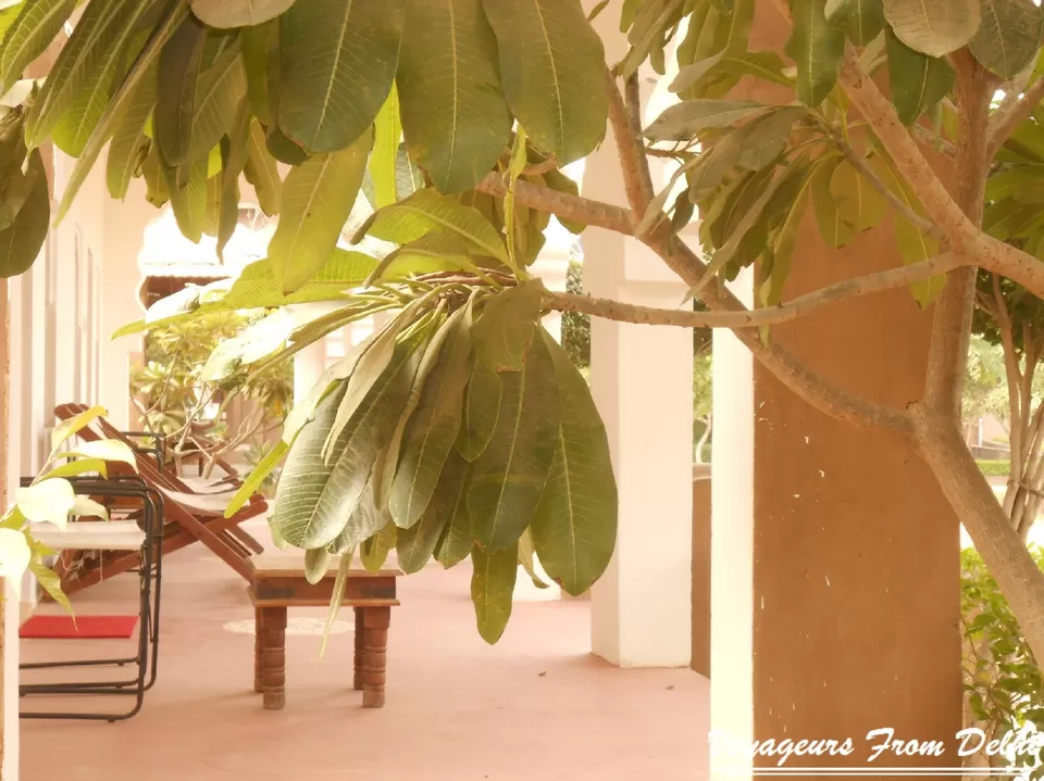 Photo of Pushkar Fort, Pushkar, Rajasthan, India by Nikhil Talwar