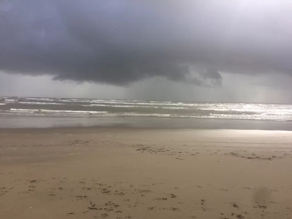 Photo of Morjim Beach, Morjim, Goa, India by Nikhil Talwar
