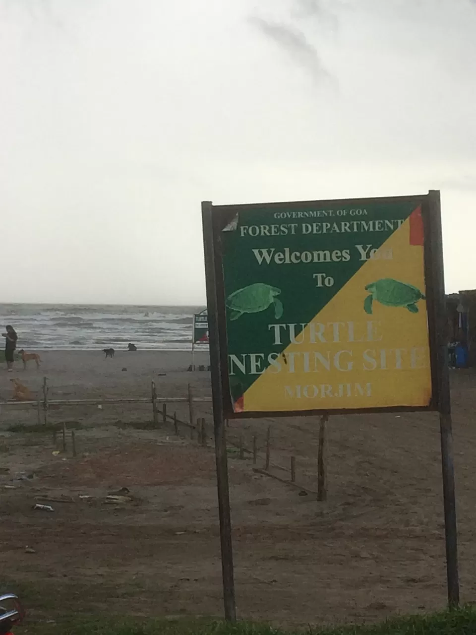 Photo of Morjim Beach, Morjim, Goa, India by Nikhil Talwar