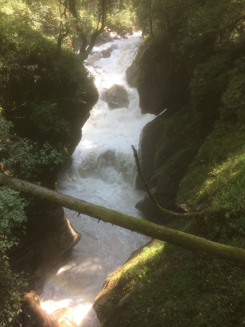 Photo of Khir Ganga (Kheerganga) Trek | 11 Sep 2019 by Nikhil Talwar