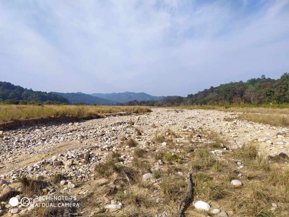 Photo of Jim Corbett | Kainchi Dham | 06Jan2020 by Nikhil Talwar