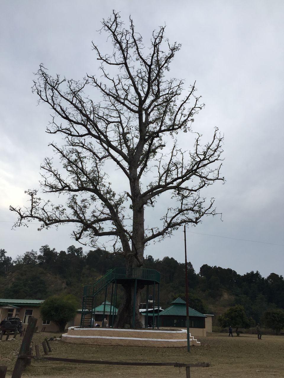 Photo of Jim Corbett | Kainchi Dham | 06Jan2020 1/4 by Nikhil Talwar