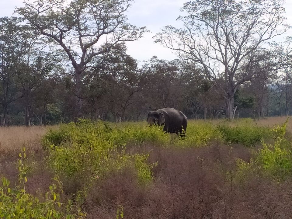 Photo of Jim Corbett | Kainchi Dham | 06Jan2020 2/4 by Nikhil Talwar