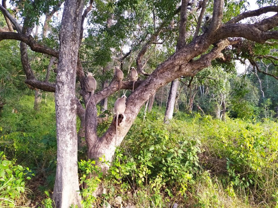 Photo of Jim Corbett | Kainchi Dham | 06Jan2020 by Nikhil Talwar