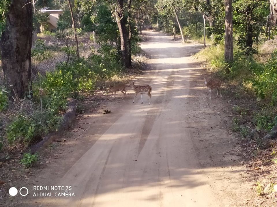 Photo of Jim Corbett | Kainchi Dham | 06Jan2020 by Nikhil Talwar