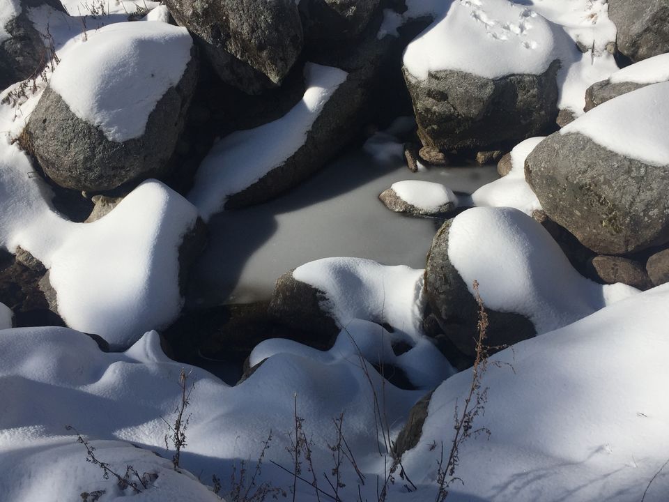 Photo of Kareri Lake Trek, Himachal Pradesh | 11Dec2020 by Nikhil Talwar