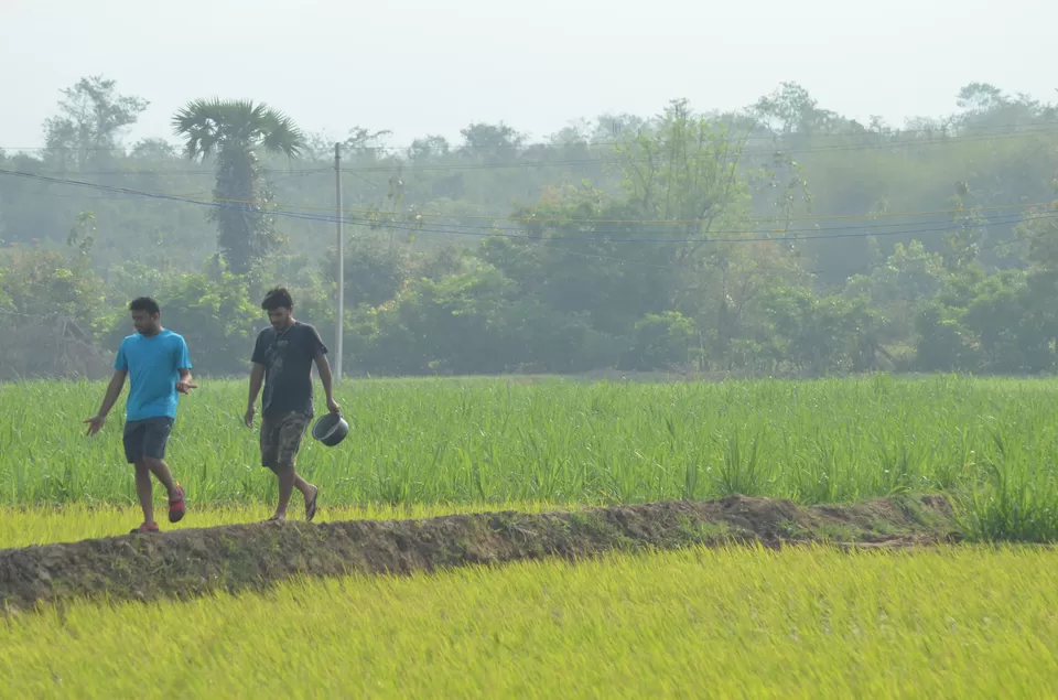 Photo of Nagalapuram Water Falls, Chittoor, Andhra Pradesh, India by Naveen Reddy