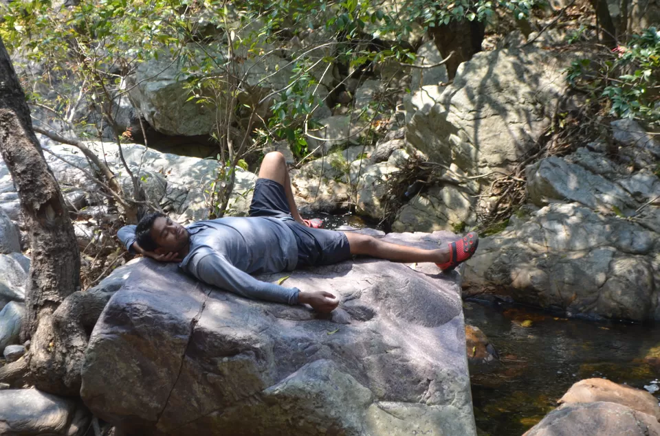 Photo of Nagalapuram Water Falls, Chittoor, Andhra Pradesh, India by Naveen Reddy