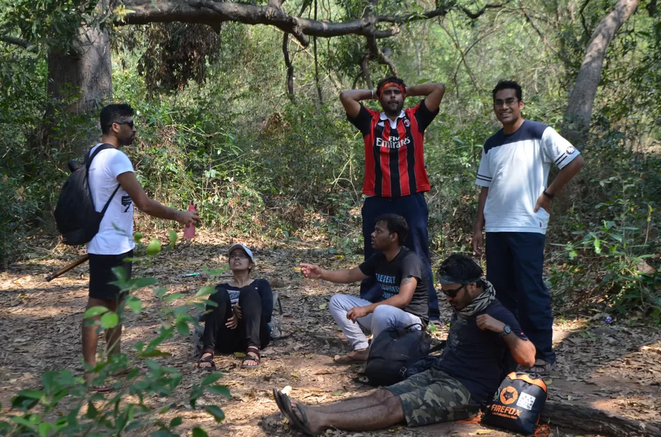 Photo of Nagalapuram Water Falls, Chittoor, Andhra Pradesh, India by Naveen Reddy