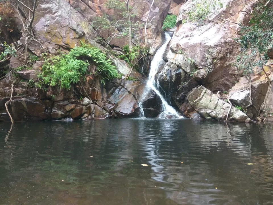 Photo of Nagalapuram Water Falls, Chittoor, Andhra Pradesh, India by Naveen Reddy