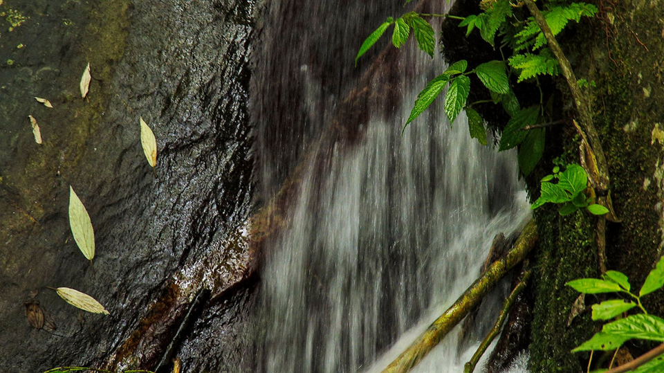 Photo of Top Station Trek - A Weekend in Western Ghats of Tamilnadu. 4/6 by Naveen Reddy
