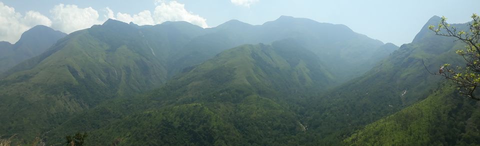 Photo of Top Station Trek - A Weekend in Western Ghats of Tamilnadu. by Naveen Reddy
