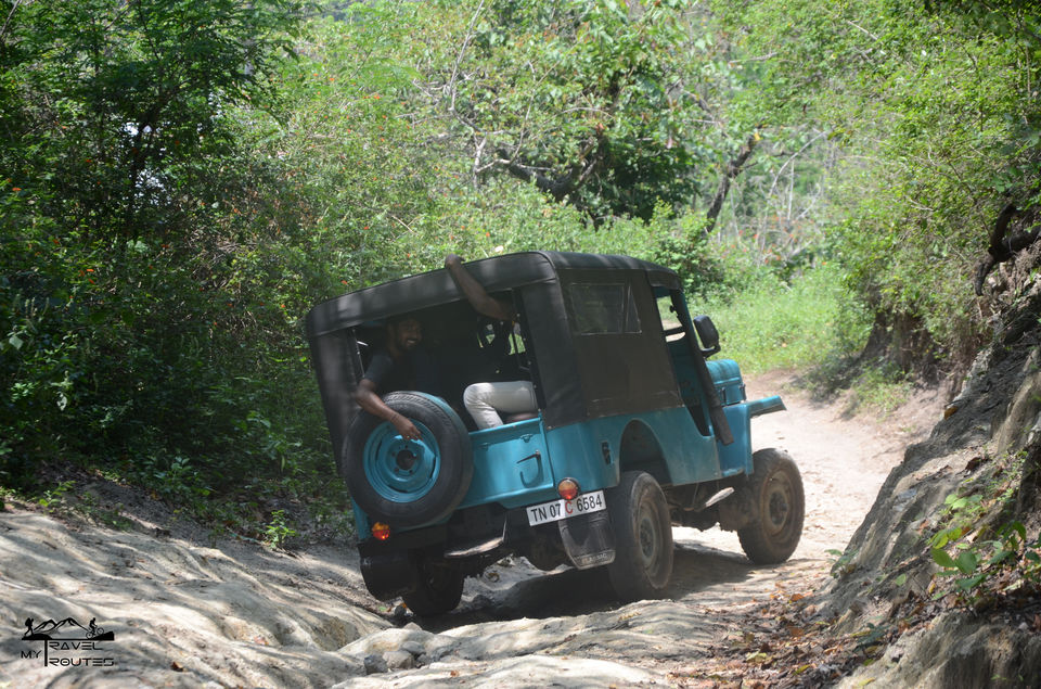 Photo of Top Station Trek - A Weekend in Western Ghats of Tamilnadu. by Naveen Reddy