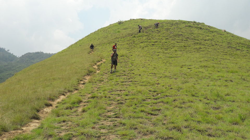 Photo of Top Station Trek - A Weekend in Western Ghats of Tamilnadu. by Naveen Reddy
