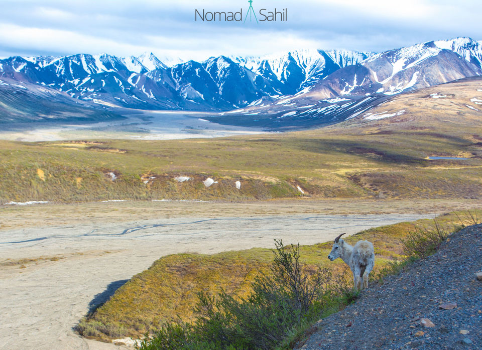 Photo of Alaska Road Trip On A Budget - What To See, Where To Stay And More by Sahil Shrivastava