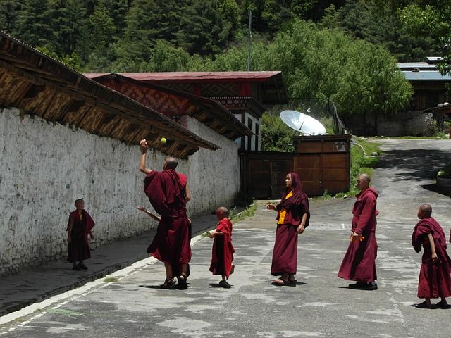 Photo of Tips For Travelling To Bhutan 1/1 by notion