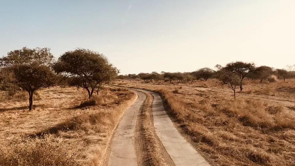 Photo of Ahmedabad, Gujarat, India by Nivi
