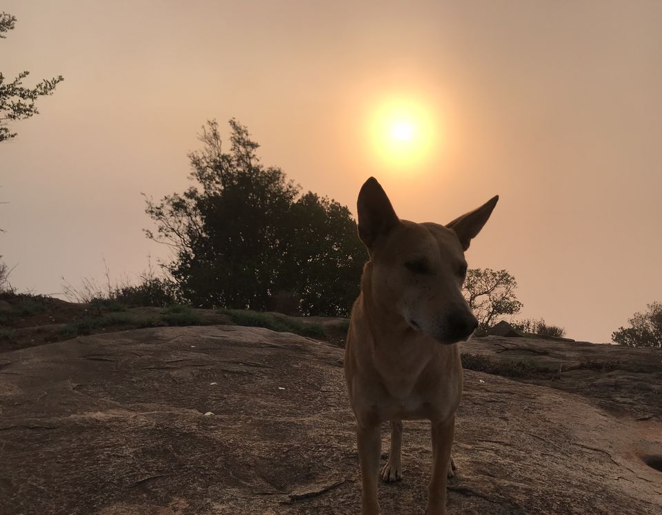 Photo of Skandagiri Night Trek 2/6 by Nivi