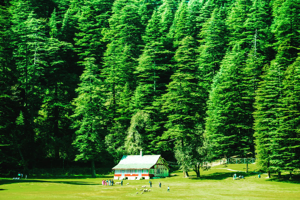 Photo of MAGICAL HIMACHAL PRADESH -LAND OF SNOW by Pooja varma
