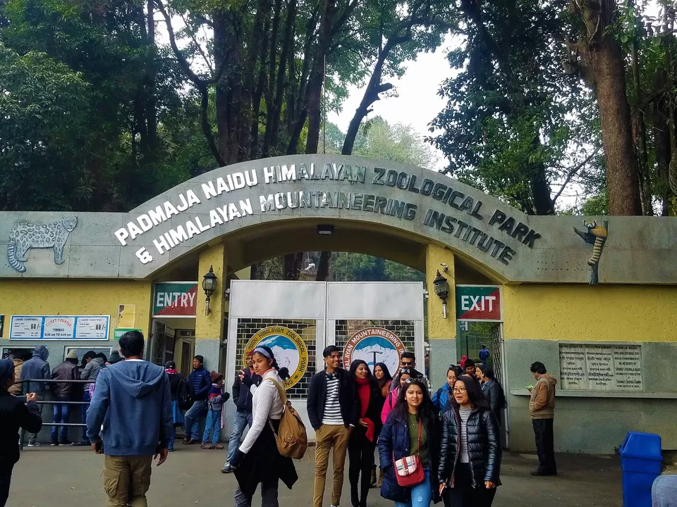 Photo of Himalayan Mountaineering Institute, Jawahar Parbat, Darjeeling, West Bengal, India by Bhunesh Bhaskar