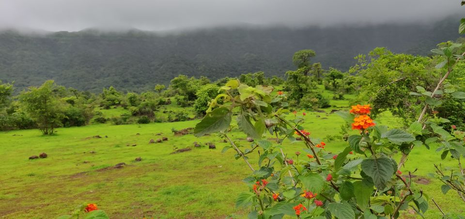 Photo of Rajgad Fort Trek | Steering solo to the capital of the Maratha Empire. by Bhunesh Bhaskar