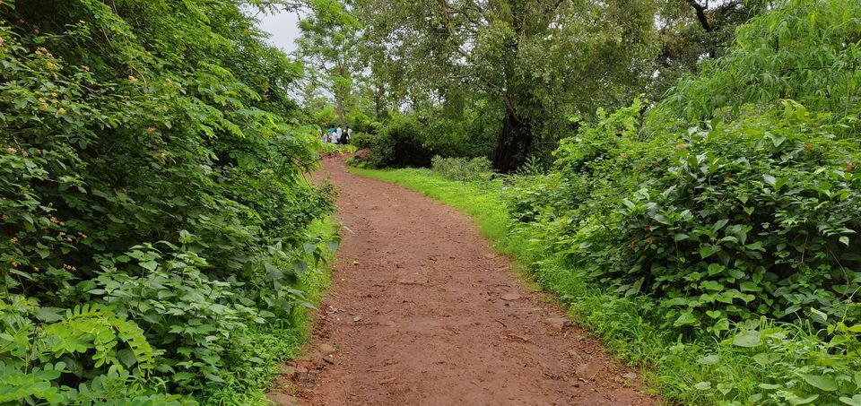 Photo of Rajgad Fort Trek | Steering solo to the capital of the Maratha Empire. by Bhunesh Bhaskar