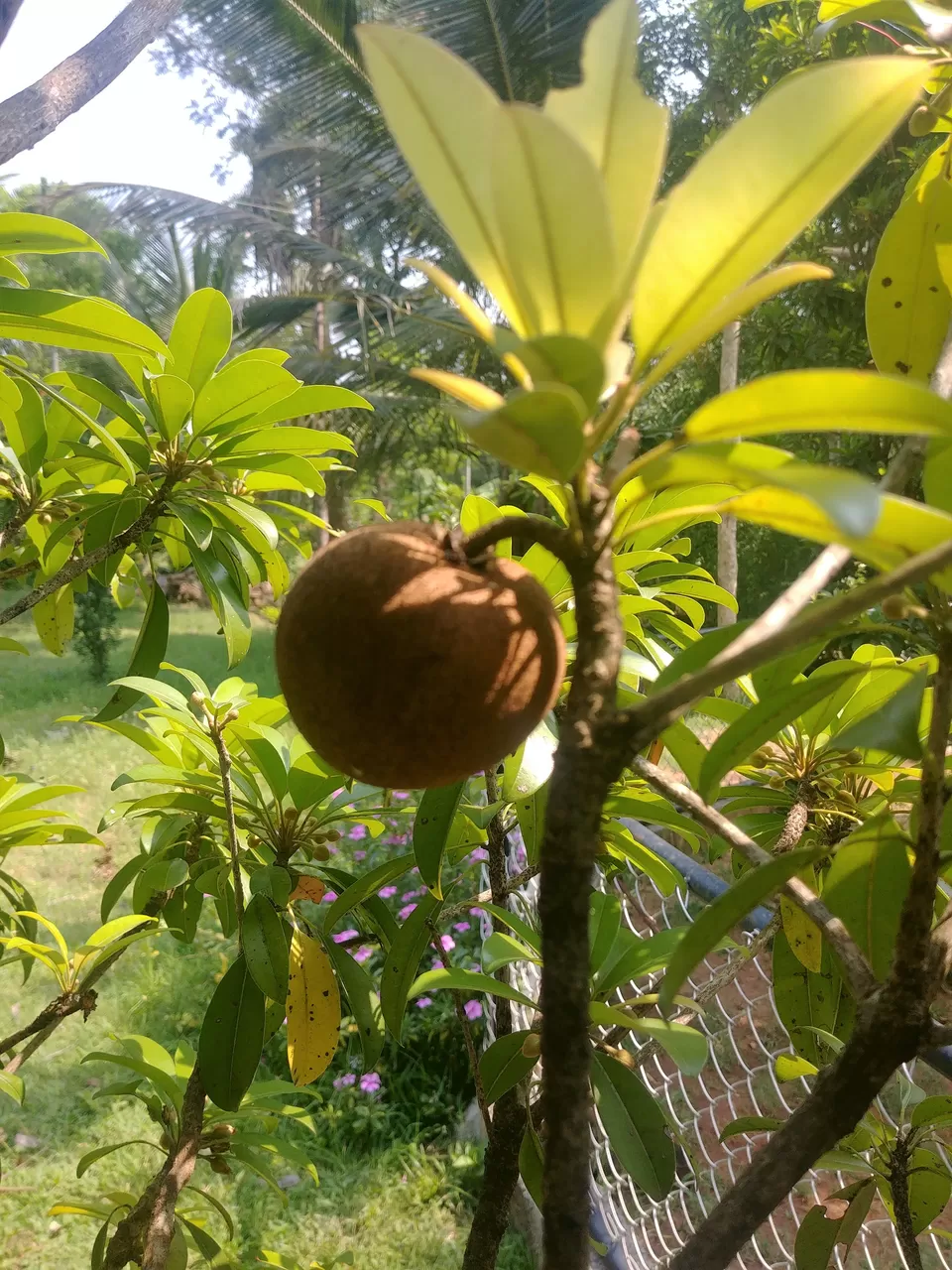Photo of Swarna Home Stay, Kushalnagar, Karnataka, India by Bhunesh Bhaskar