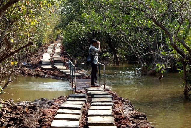 Photo of 8 Most Romantic Places in Goa to Visit For Newly Married Couples 8/8 by Sumit kumar