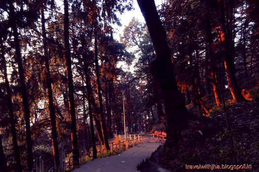 Photo of Jakhoo Road, Lakkar Bazar, Shimla, Himachal Pradesh, India by Avinash Jha