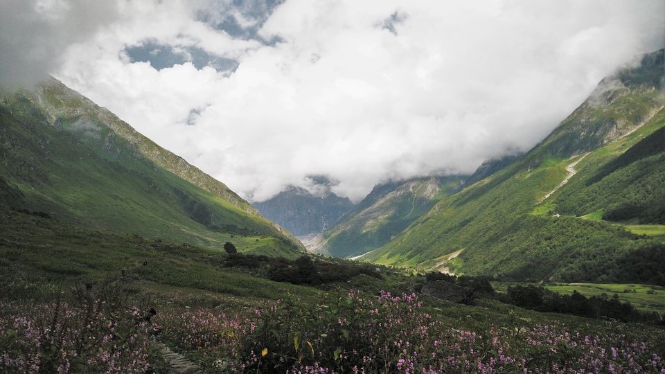 Photo of Valley of Flowers, Auli and a taste of heaven! by Sourav Shukla