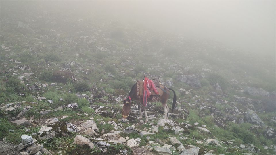 Photo of Hemkund, Uttarakhand, India by Sourav Shukla