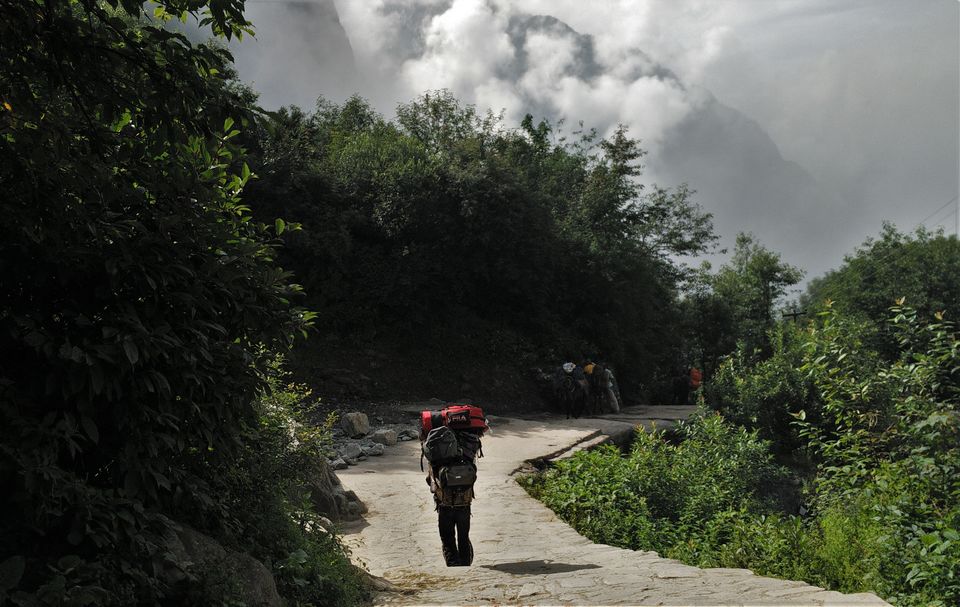 Photo of Auli, Joshimath, Uttarakhand, India by Sourav Shukla