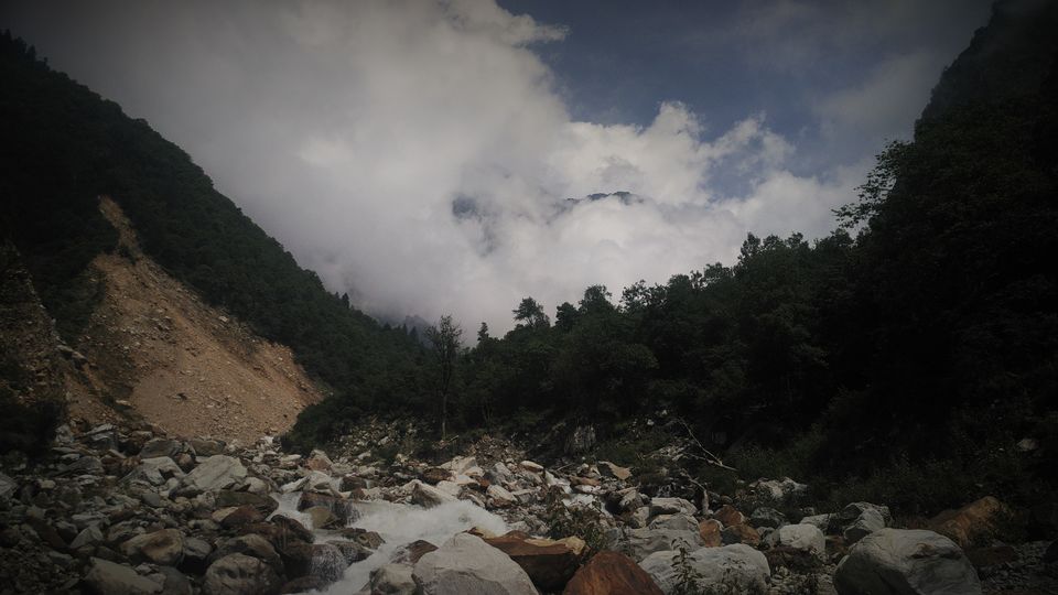 Photo of Auli, Joshimath, Uttarakhand, India by Sourav Shukla