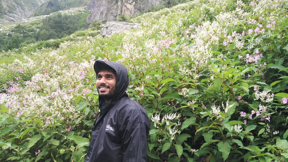 Photo of Valley of Flowers National Park, Chamoli, Uttarakhand, India by Sourav Shukla 