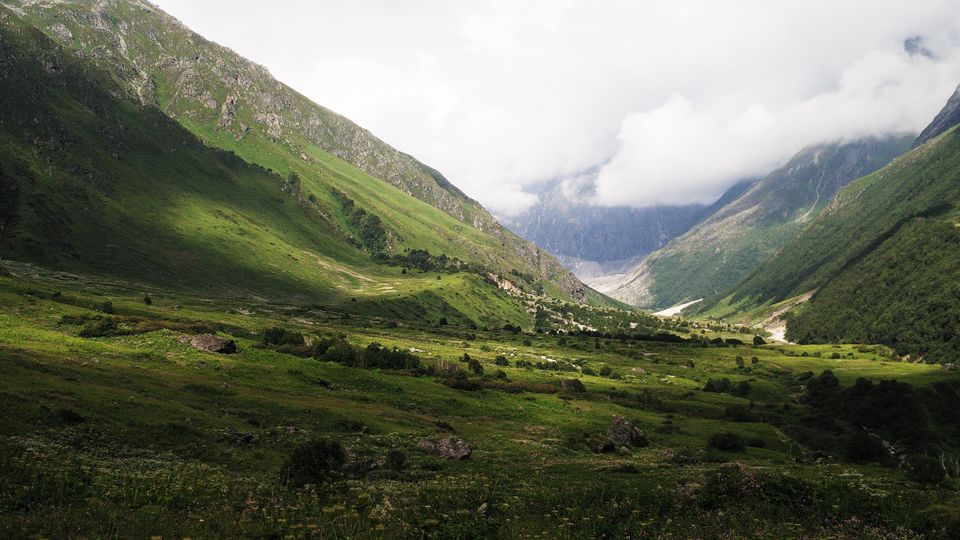 Valley of Flowers, Auli and a taste of heaven Tripoto