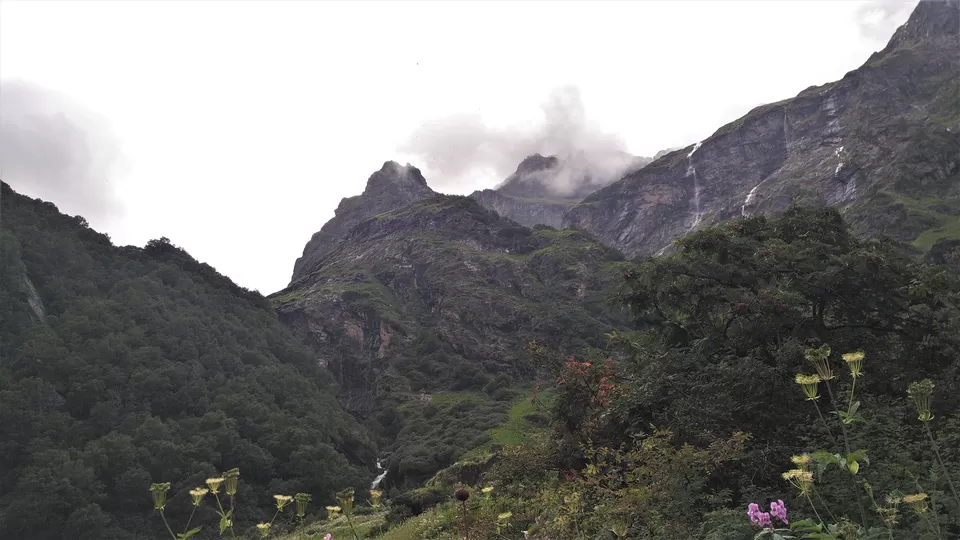 Photo of Valley of Flowers National Park, Chamoli, Uttarakhand, India by Sourav Shukla 