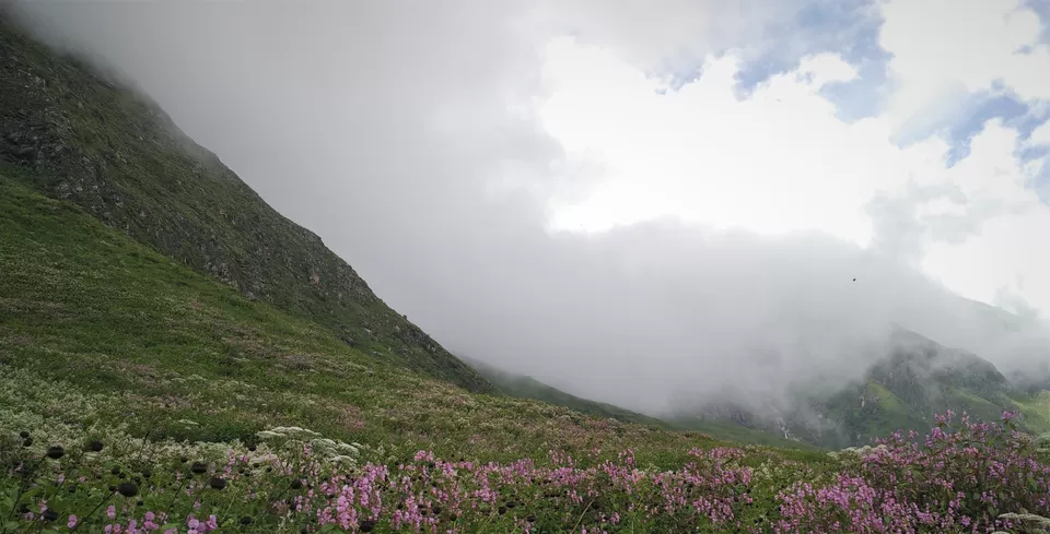 Photo of Valley of Flowers National Park, Chamoli, Uttarakhand, India by Sourav Shukla 